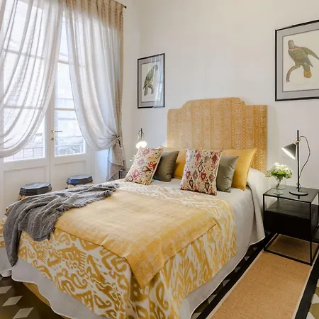Apartment Luxury In Old